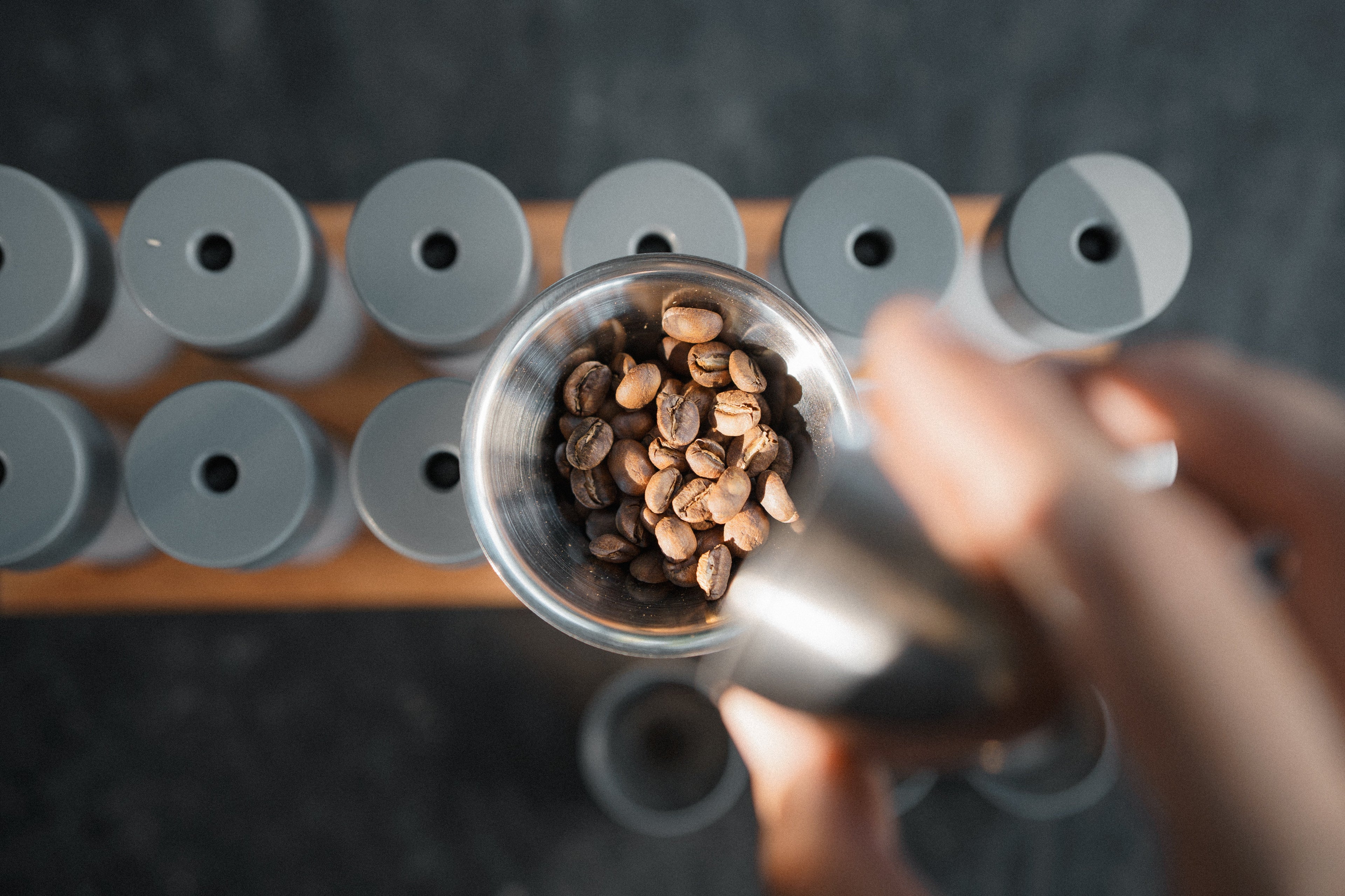 BEAN CELLAR Polymer