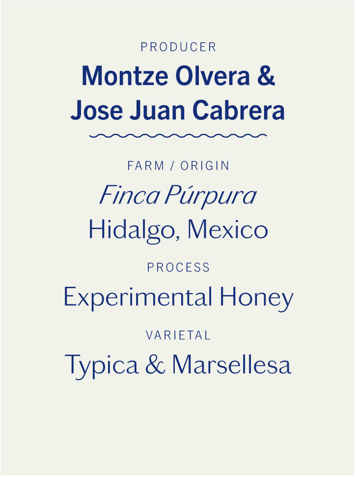 Finca Púrpura Experimental Honey