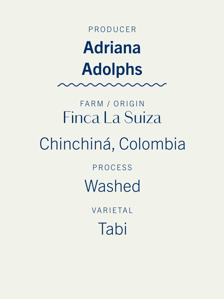 Adriana Adolphs Washed Tabi