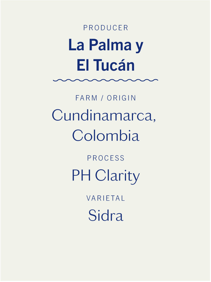 La Palma y El Tucan Sidra PH Clarity