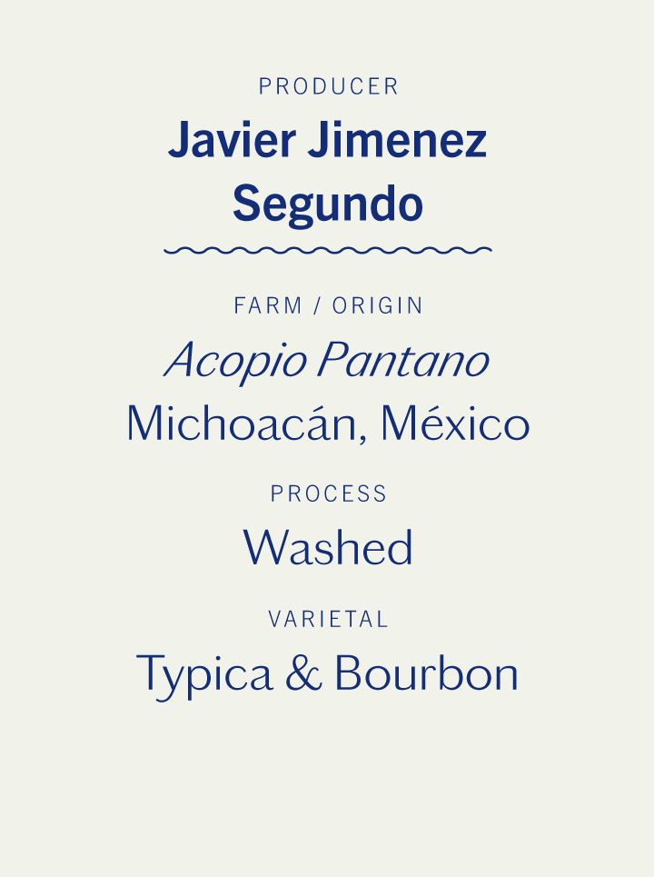 Acopio Pantano Washed Typica & Bourbon